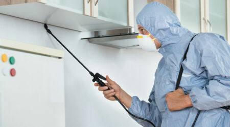 Pest control – Benefits and top companies