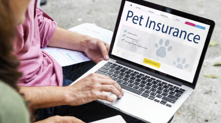 Pet insurance – Benefits, policies, and cost