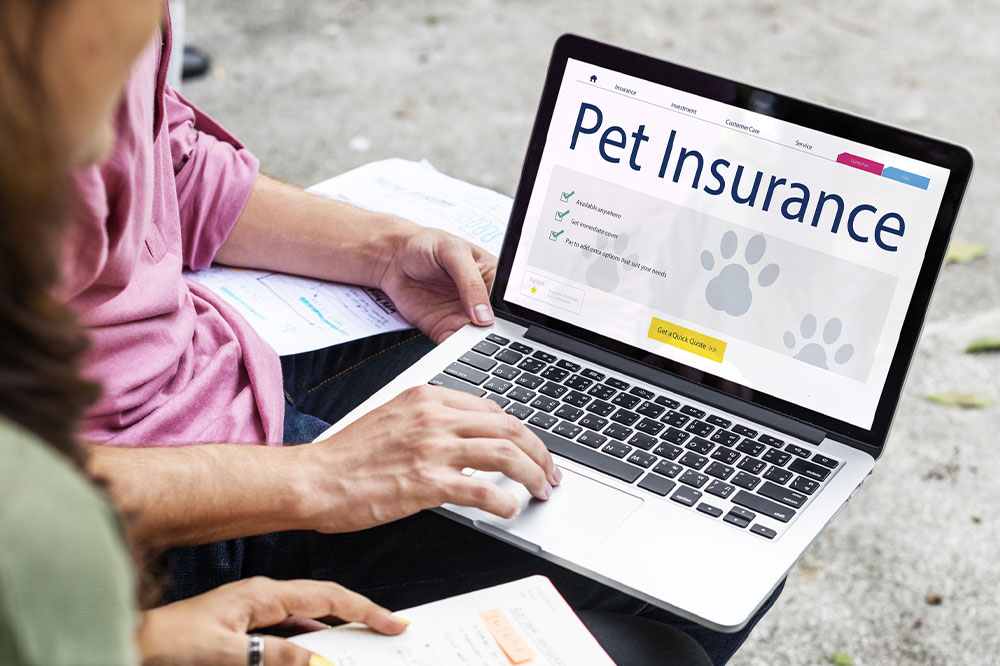 Pet insurance – Benefits, policies, and cost