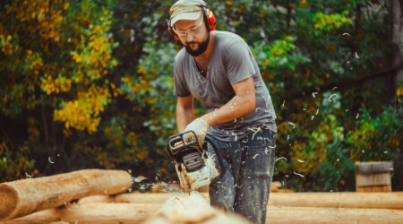 A look at the forestry and logging industry – Purpose, jobs, and more