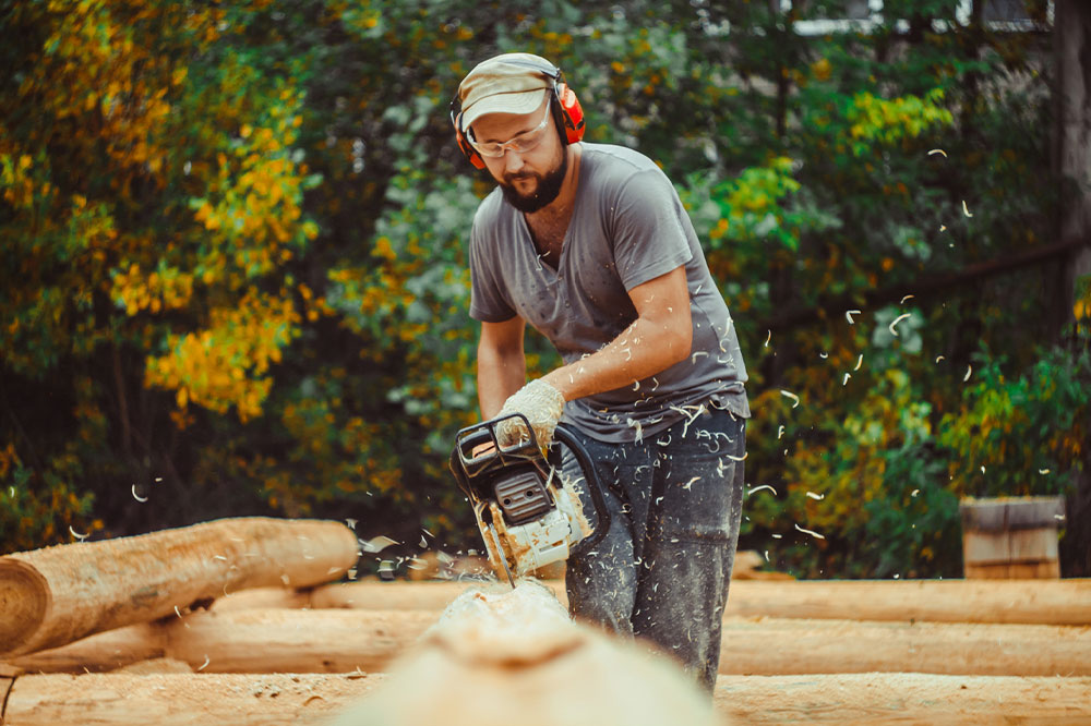 A look at the forestry and logging industry – Purpose, jobs, and more