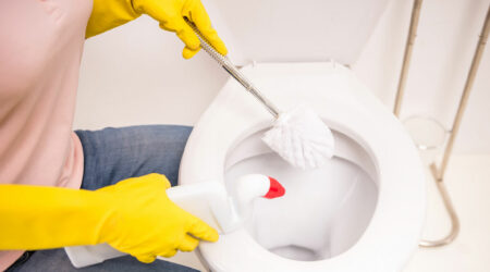 Toilet cleaners – Top ones, DIY solutions, and more