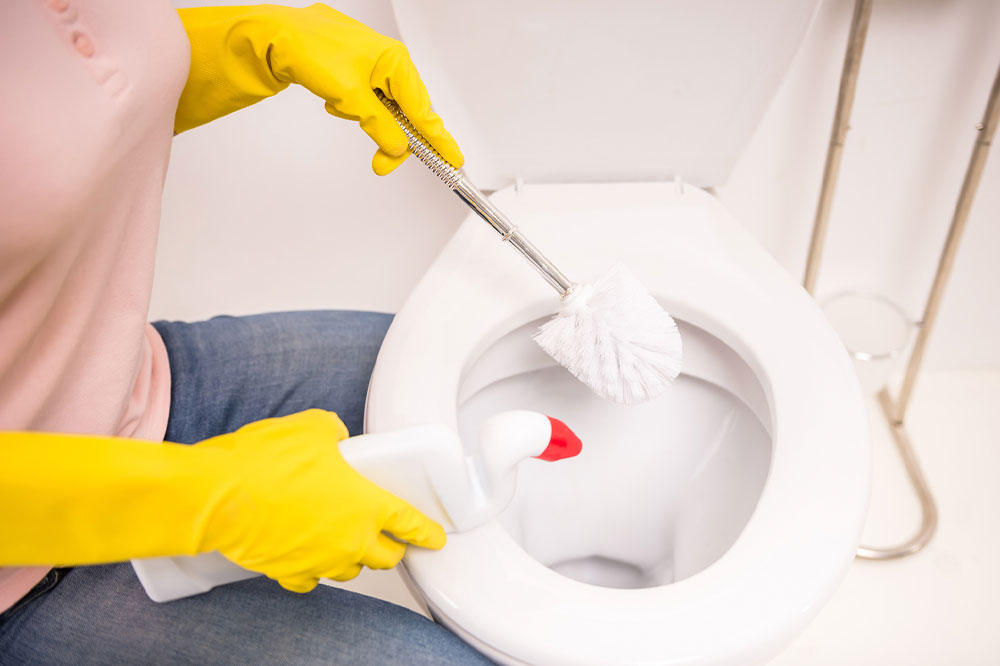 Toilet cleaners – Top ones, DIY solutions, and more